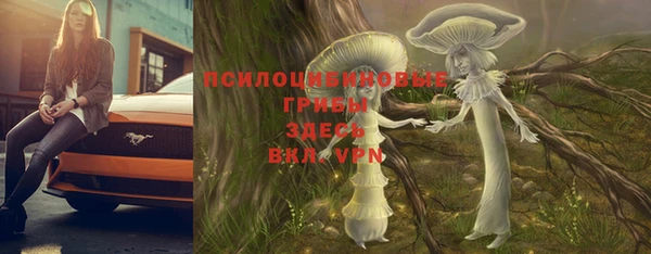 мескалин Алексин
