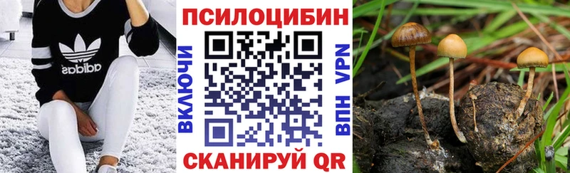 Псилоцибиновые грибы прущие грибы Краснознаменск